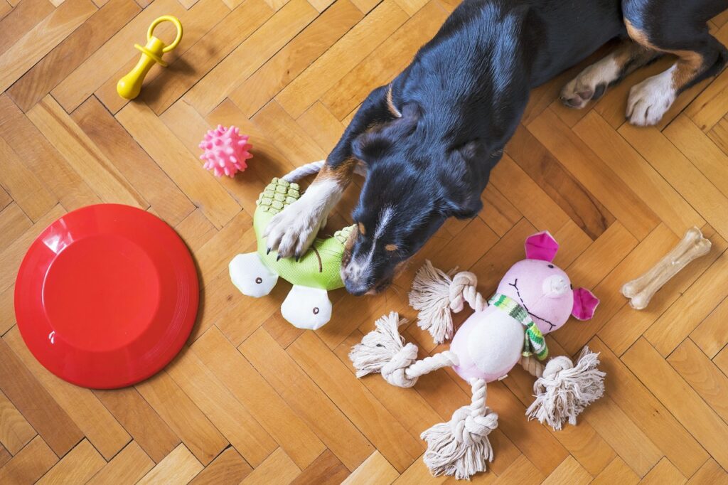 Keep Your Dog Happy When You're Not Home