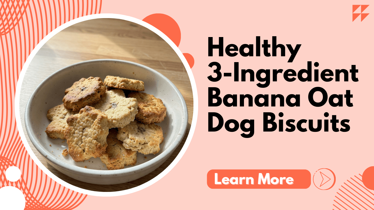 3-Ingredient Banana Oat Dog Biscuits Your Pup Will Beg For