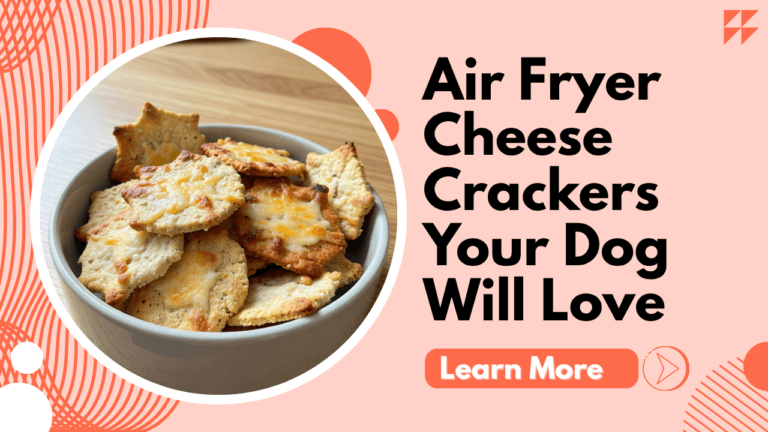 Air Fryer Cheese Crackers Your Dog Will Love