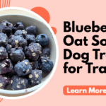 Blueberry Oat Soft Dog Treats for Training