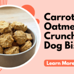 Carrot and Oatmeal Crunchy Dog Biscuits