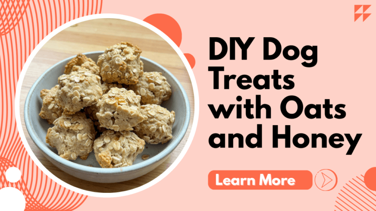 DIY Dog Treats with Oats and Honey