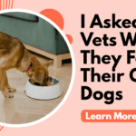I Asked 10 Vets What They Feed Their Own Dogs