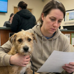 Is Your Wallet Ready for a Pet Medical Emergency