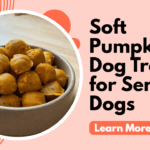 Soft Pumpkin Dog Treats for Senior Dogs