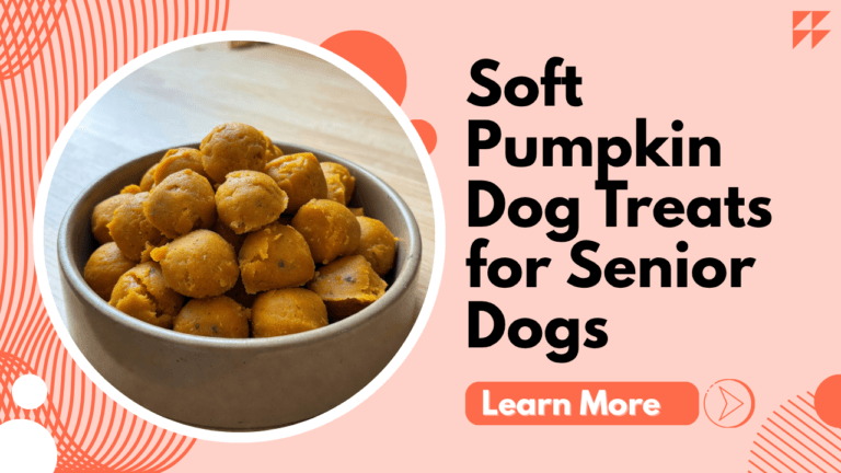 Soft Pumpkin Dog Treats for Senior Dogs