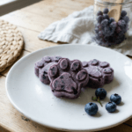 Easy Blueberry Coconut Frozen Dog Treats Recipe