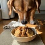 Apple Cinnamon Baked Dog Treats
