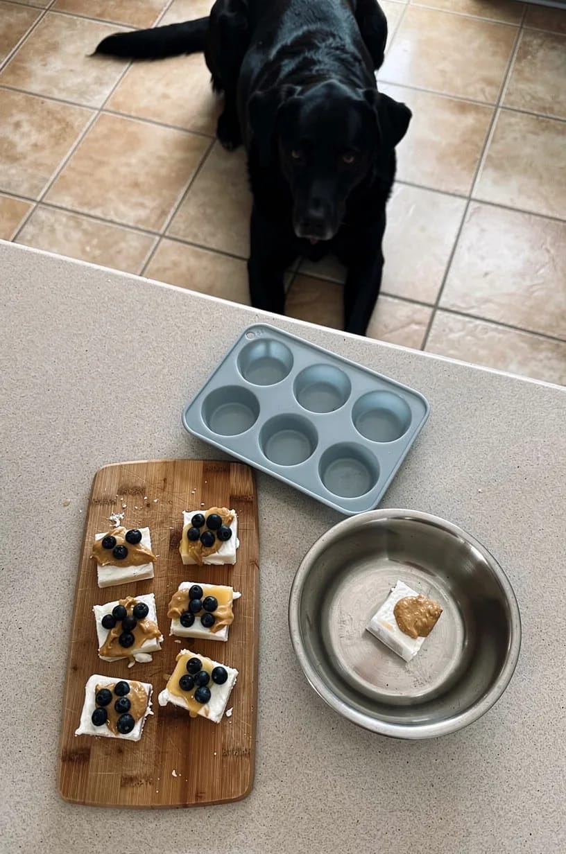 Same dog food photoshoot, same home kitchen, same natural window light, same smartphone camera style