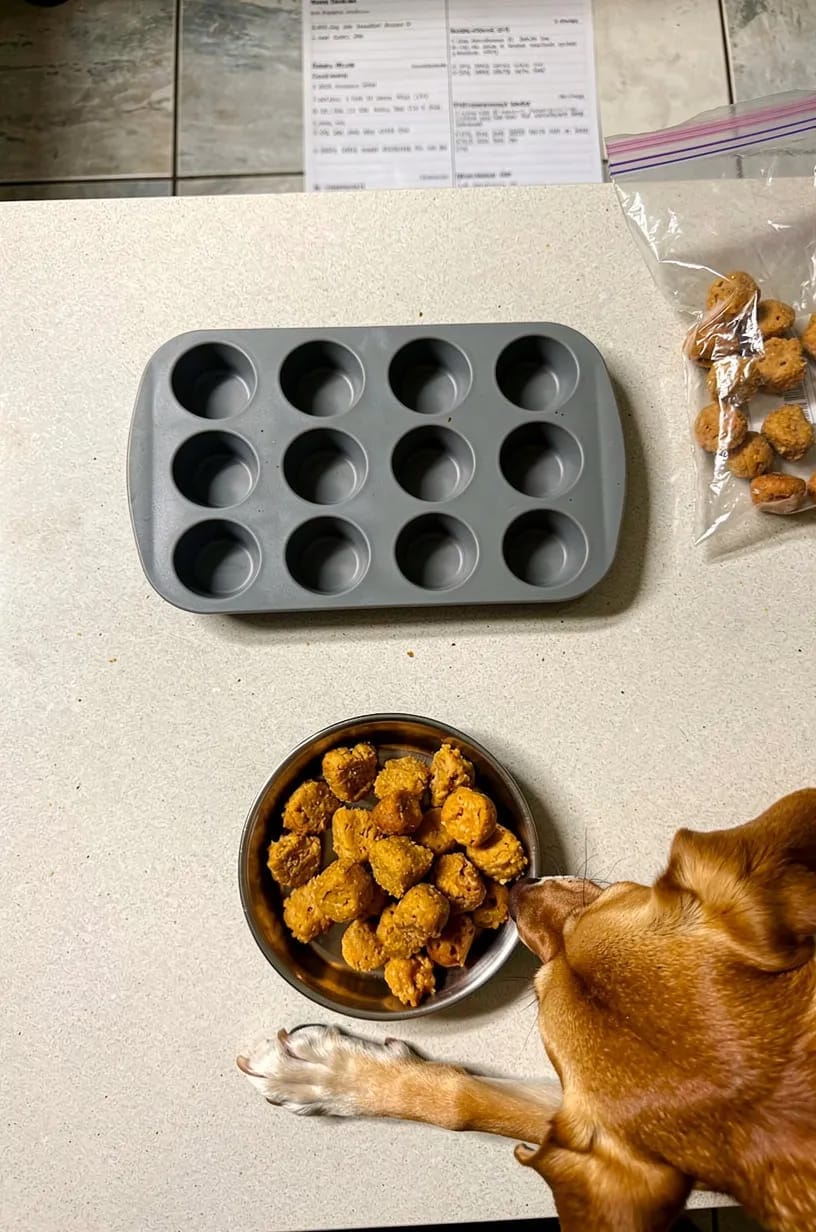 Same dog food photoshoot, same home kitchen, same natural window light, same smartphone camera style