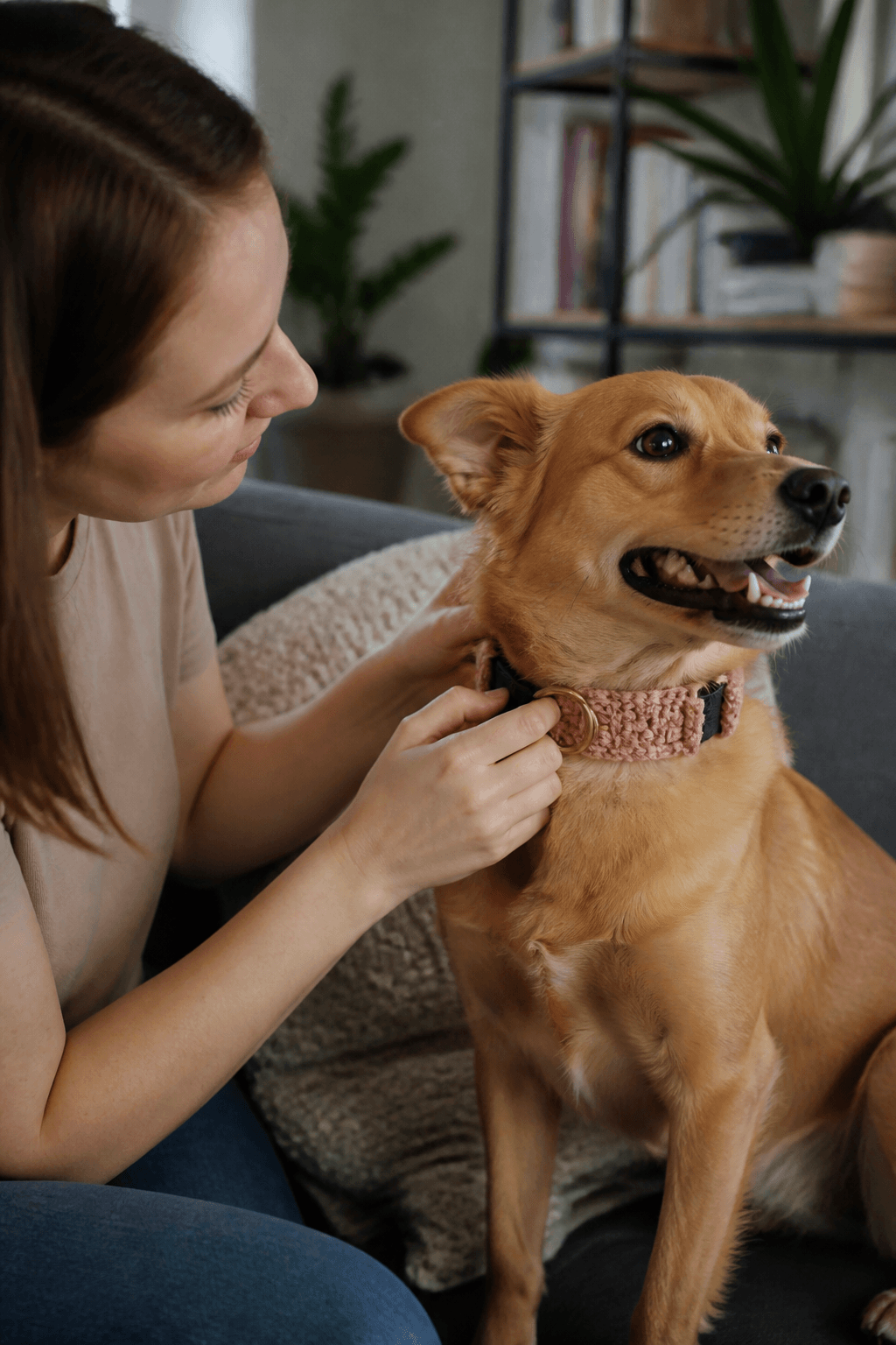 Why Make a Crochet Dog Collar Cover?