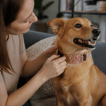 stylish DIY crochet dog collar cover