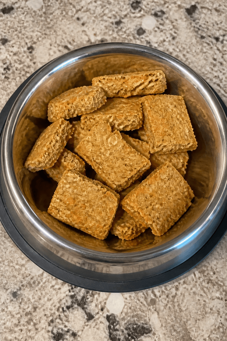 Apple Carrot Soft-Baked Dog Treat Squares