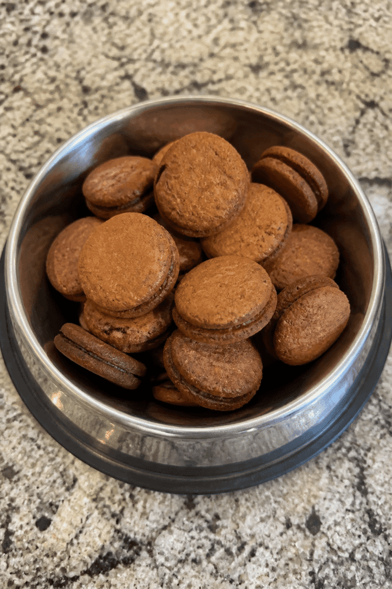 homemade Pumpkin Carob Sandwich Cookies for Dogs
