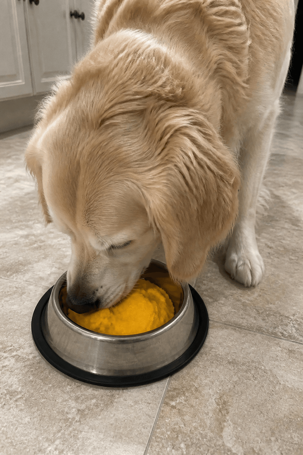 Feeding Suggestions