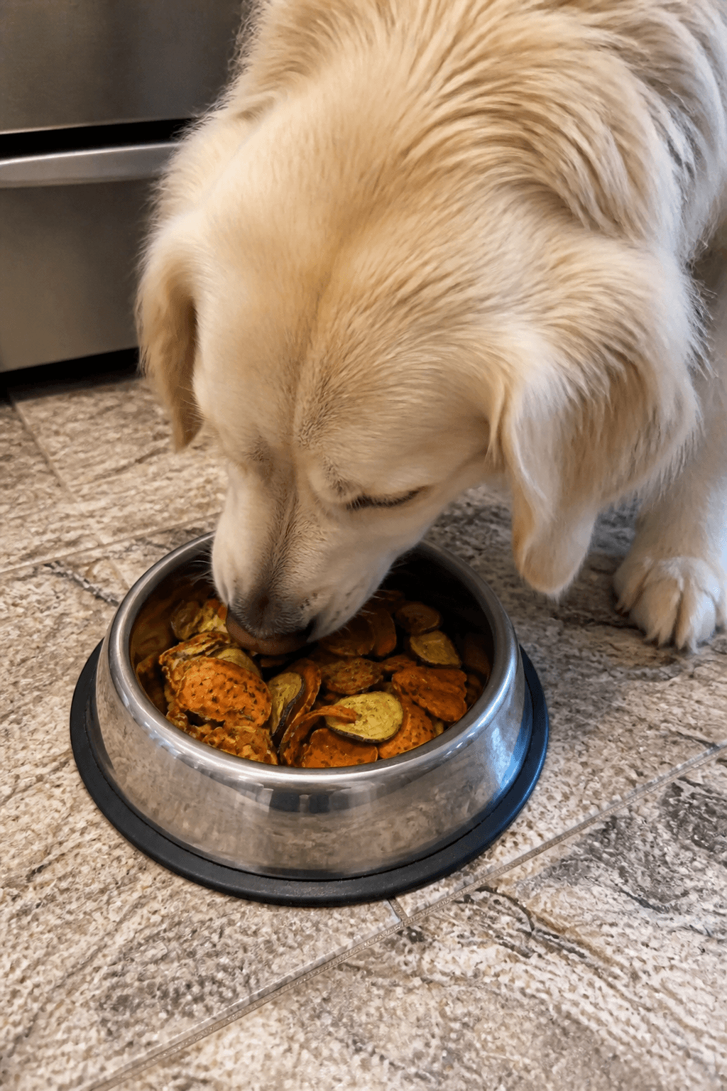 Feeding Suggestions