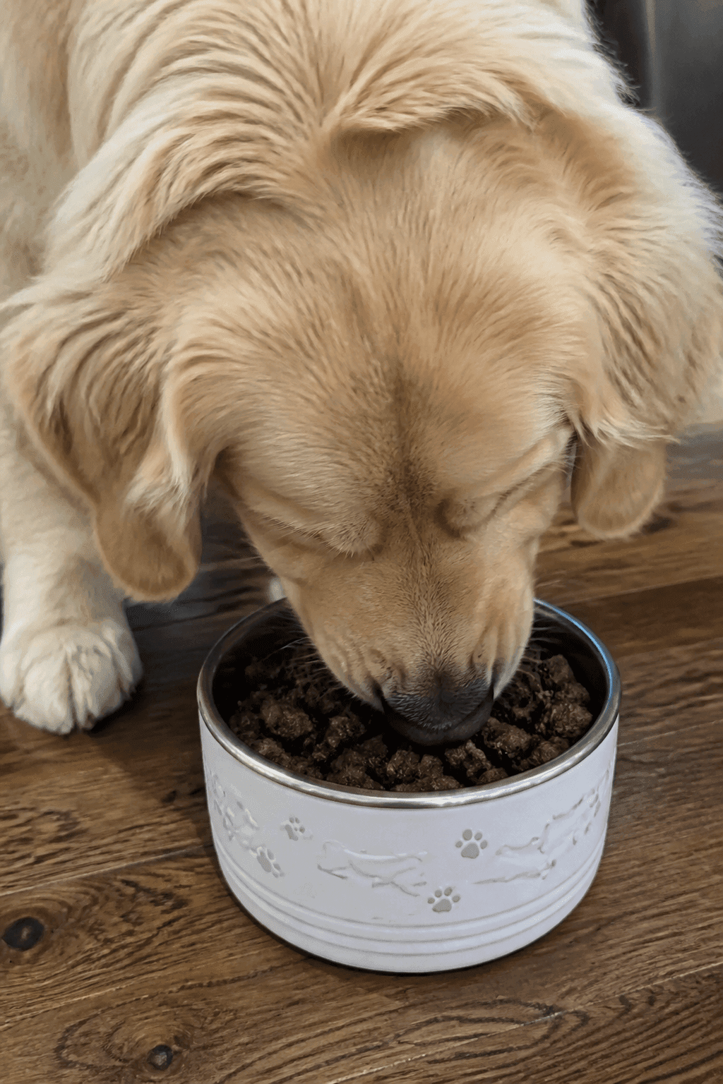 Feeding Suggestions