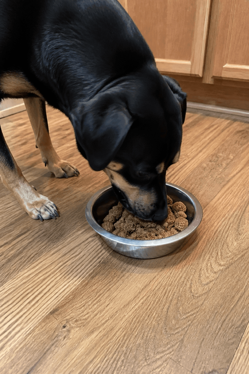 Feeding Suggestions