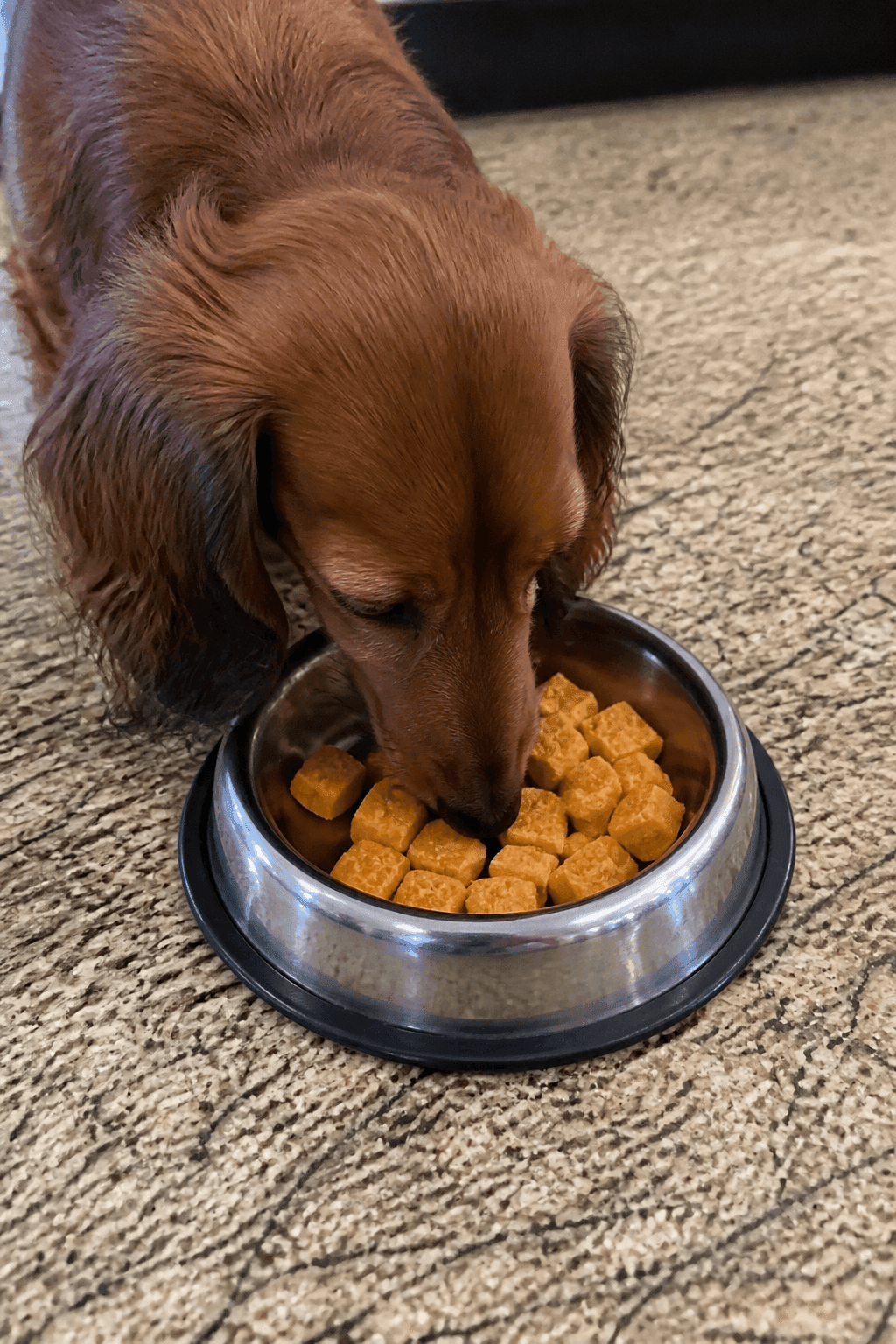 Feeding Suggestions