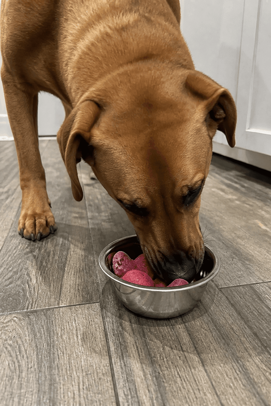 Feeding Suggestions