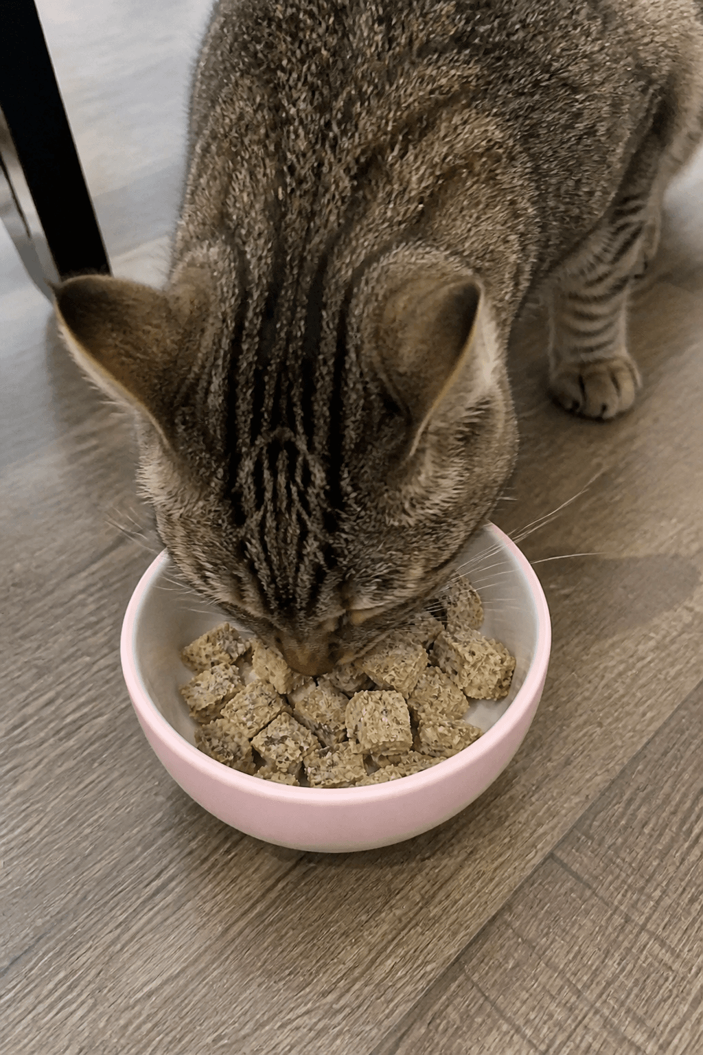 Feeding Suggestions