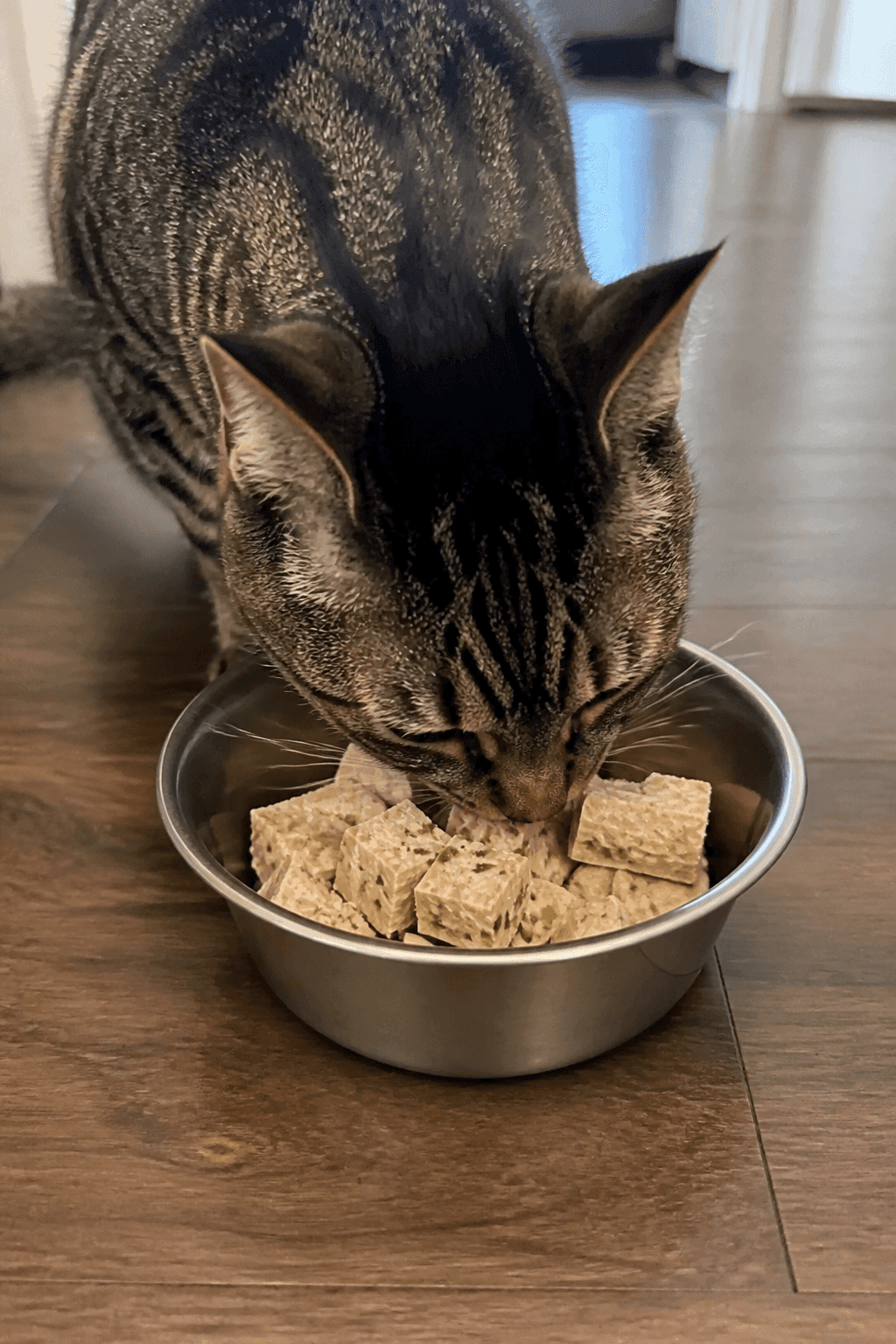 Feeding Suggestions