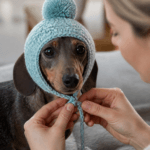 Dog Hat Crochet Pattern
