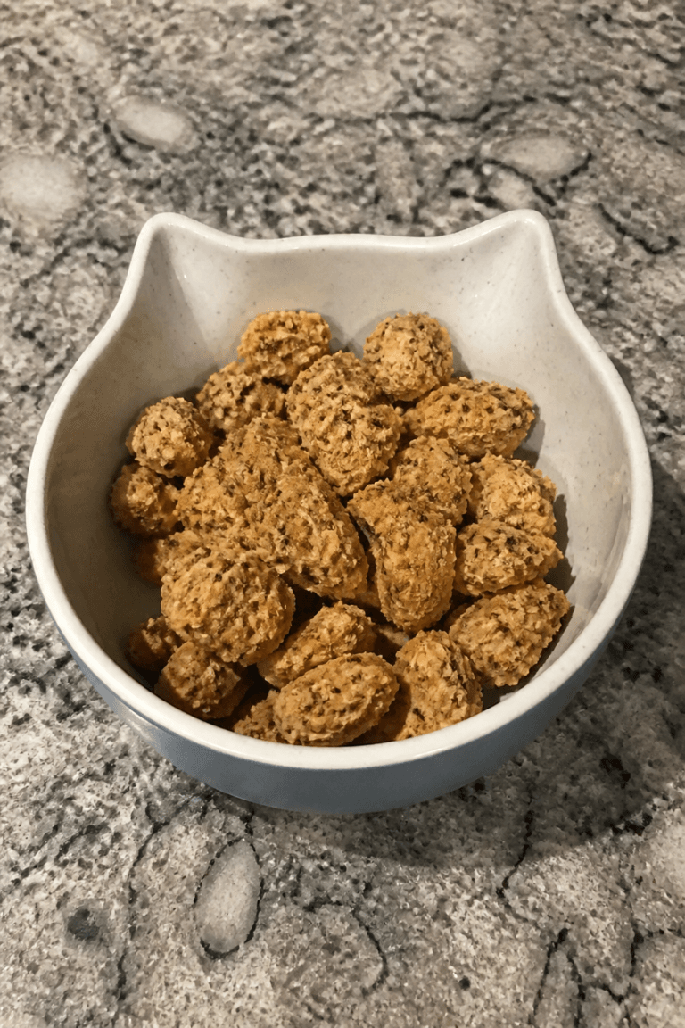 Baked Salmon Cat Treats with Catnip