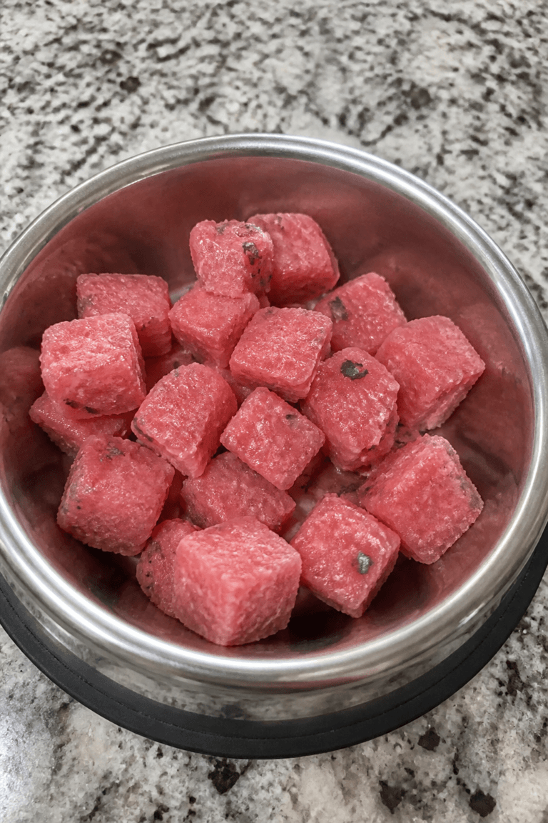 Watermelon_Mint_Cooling_Frozen_Dog_Treats
