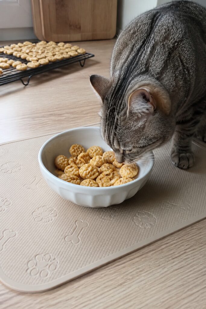 Same pet recipe photoshoot, same home kitchen, same natural window light, same smartphone camera sty