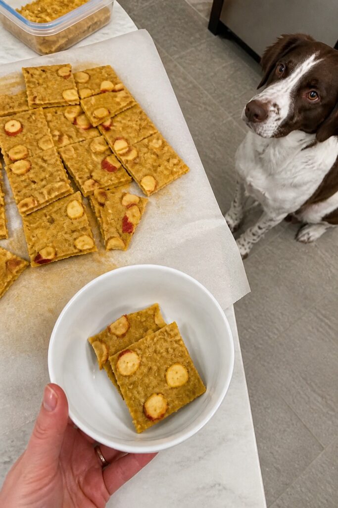 Same pet recipe photoshoot, same home kitchen, same natural window light, same smartphone camera sty