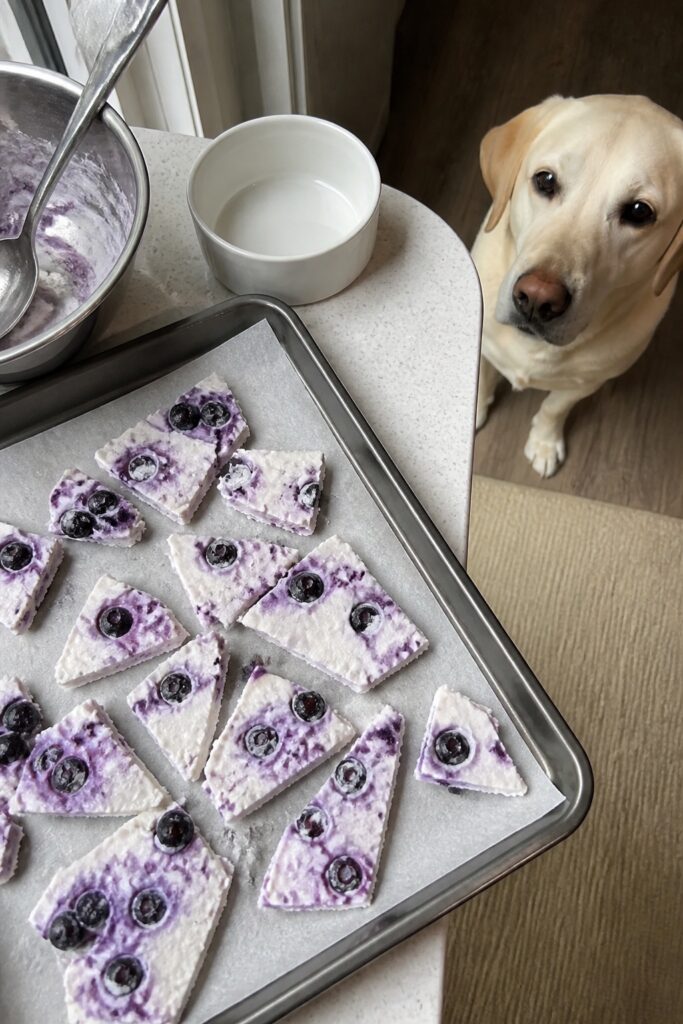 Same pet recipe photoshoot, same home kitchen, same natural window light, same smartphone camera sty