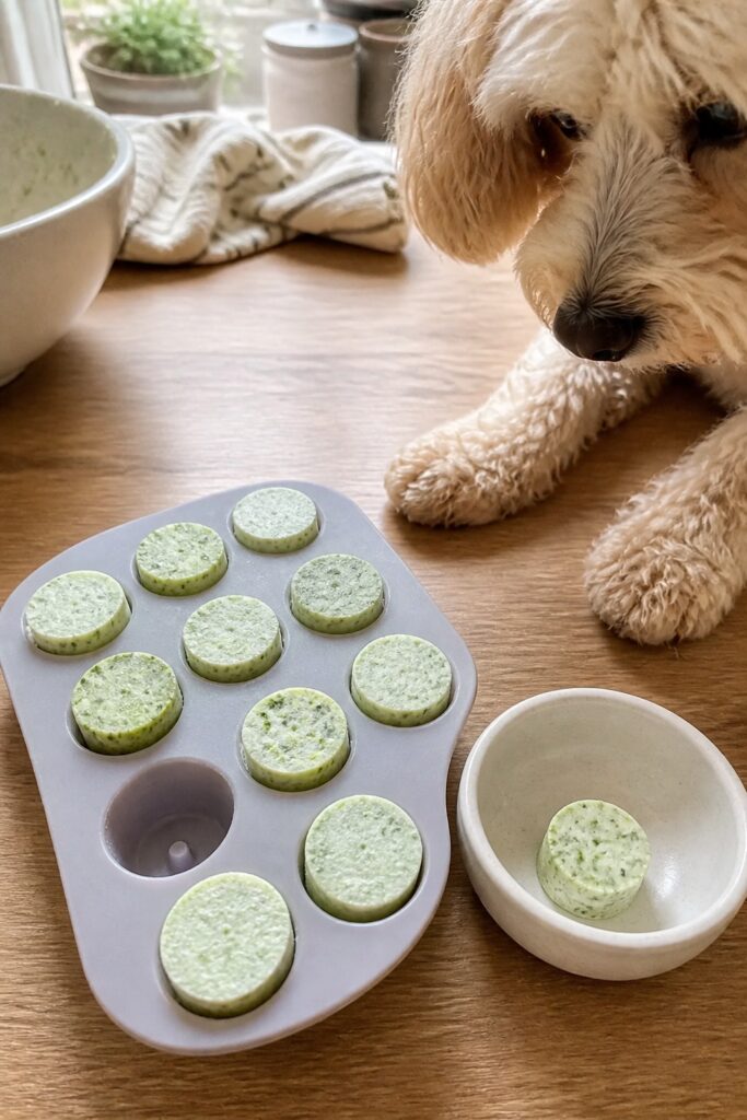Same pet recipe photoshoot, same home kitchen, same natural window light, same smartphone camera sty
