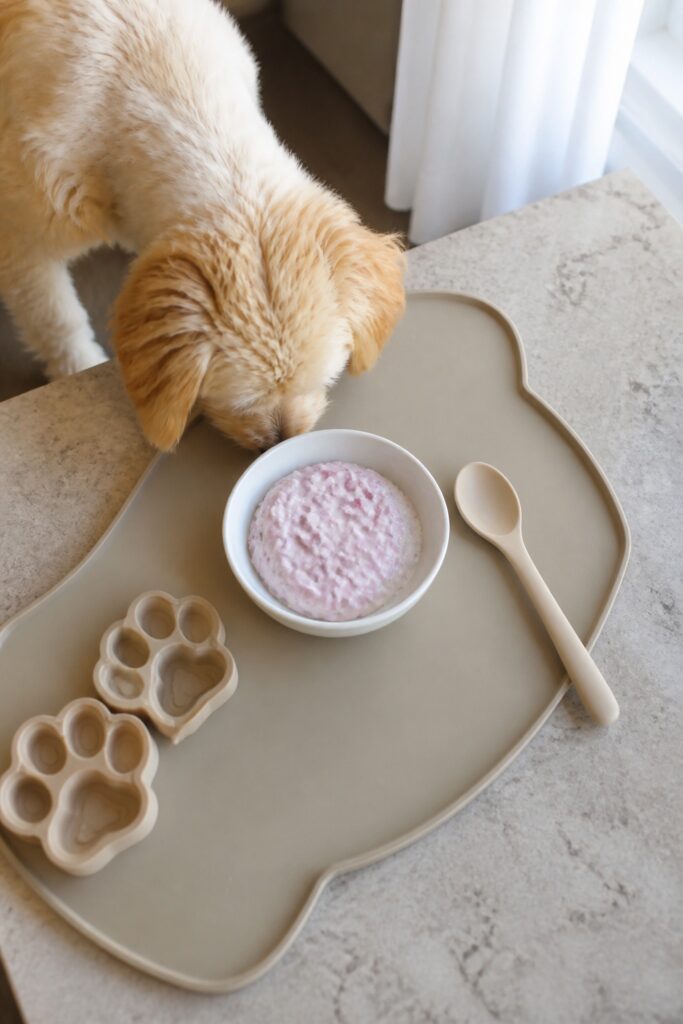 Same pet recipe photoshoot, same home kitchen, same natural window light, same smartphone camera sty