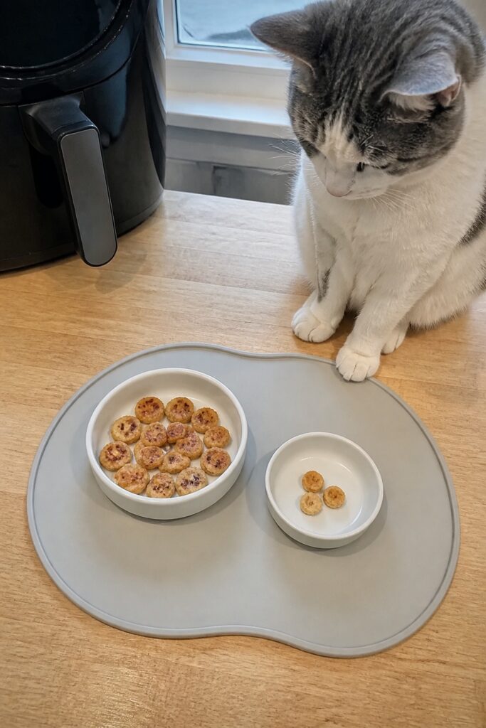 Same pet recipe photoshoot, same home kitchen, same natural window light, same smartphone camera sty