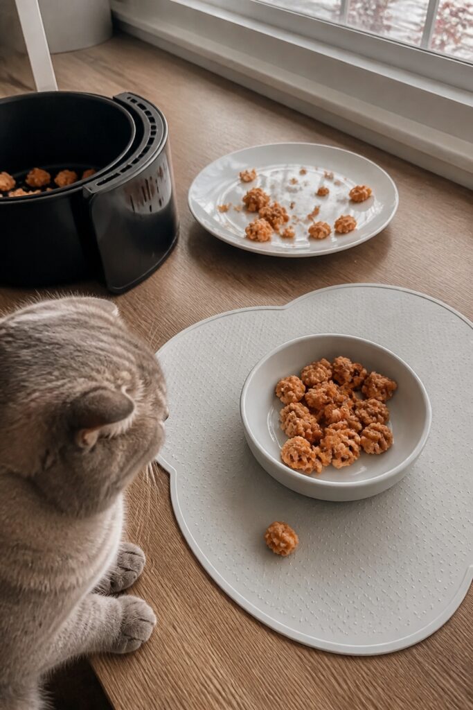 Same pet recipe photoshoot, same home kitchen, same natural window light, same smartphone camera sty