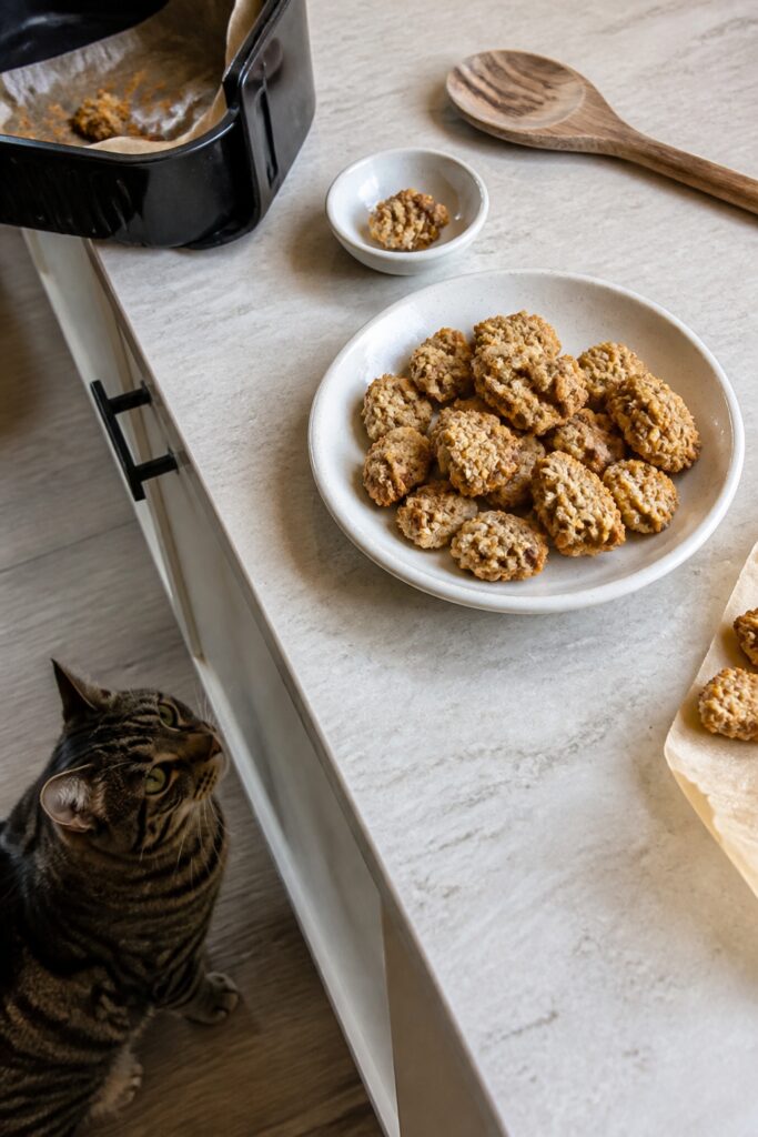 Same pet recipe photoshoot, same home kitchen, same natural window light, same smartphone camera sty