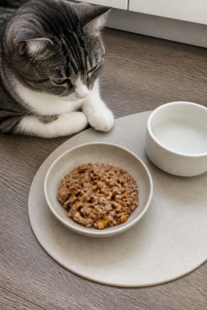 Same pet recipe photoshoot, same home kitchen, same natural window light, same smartphone camera sty