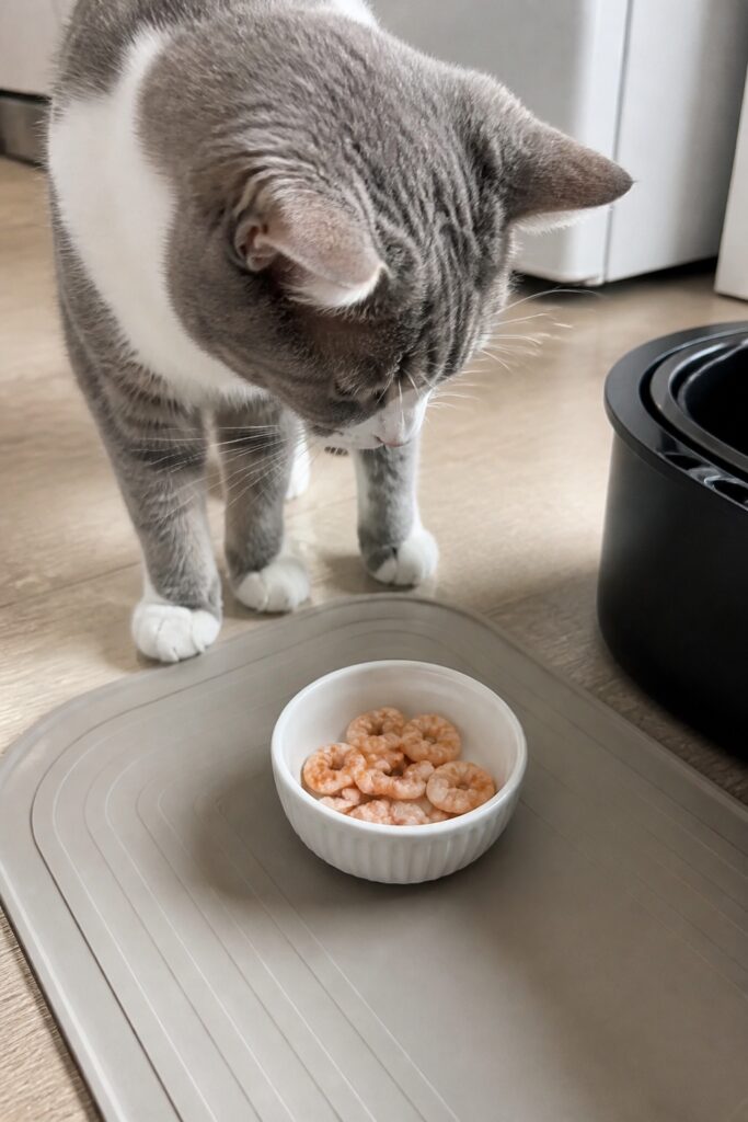 Same pet recipe photoshoot, same home kitchen, same natural window light, same smartphone camera sty