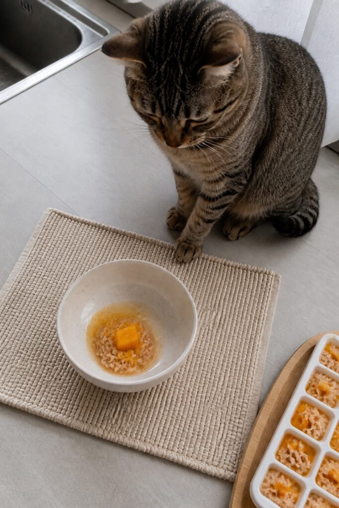 Same pet recipe photoshoot, same home kitchen, same natural window light, same smartphone camera sty
