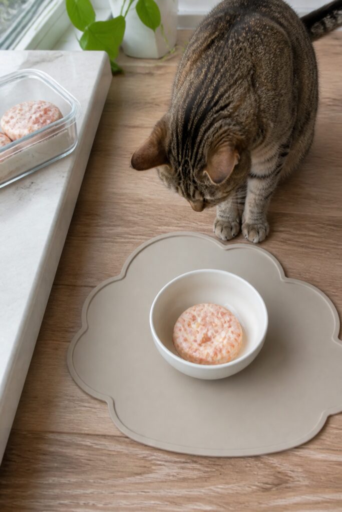 Same pet recipe photoshoot, same home kitchen, same natural window light, same smartphone camera sty