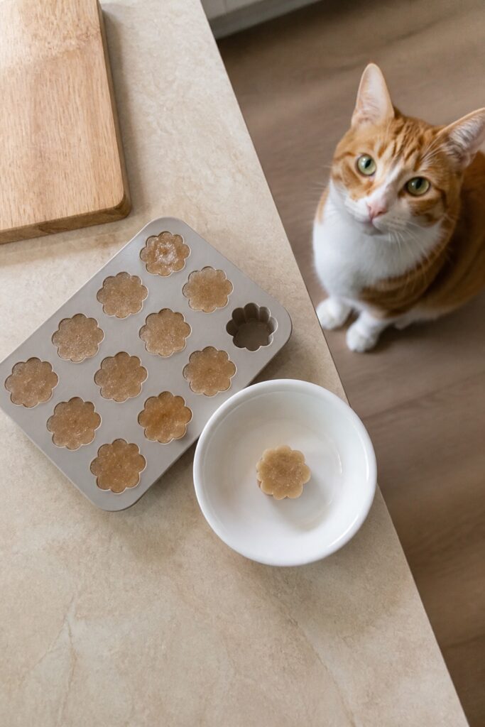 Same pet recipe photoshoot, same home kitchen, same natural window light, same smartphone camera sty