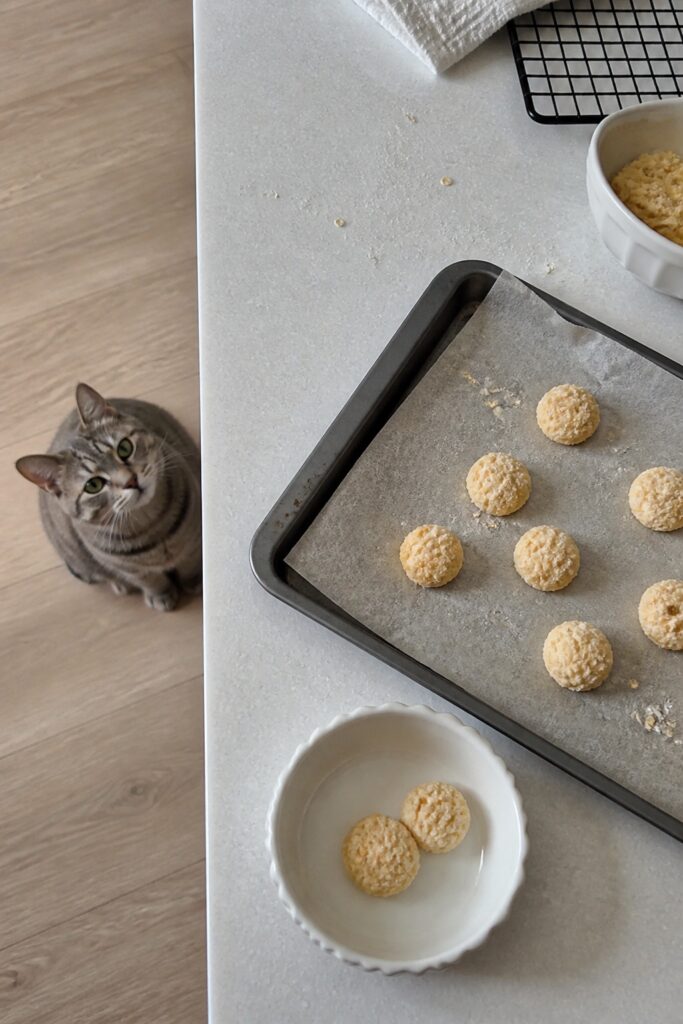 Same pet recipe photoshoot, same home kitchen, same natural window light, same smartphone camera sty