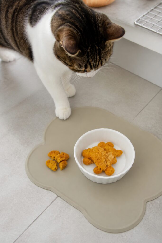 Same pet recipe photoshoot, same home kitchen, same natural window light, same smartphone camera sty