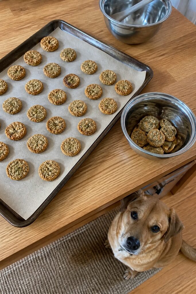 Same pet recipe photoshoot, same home kitchen, same natural window light, same smartphone camera sty