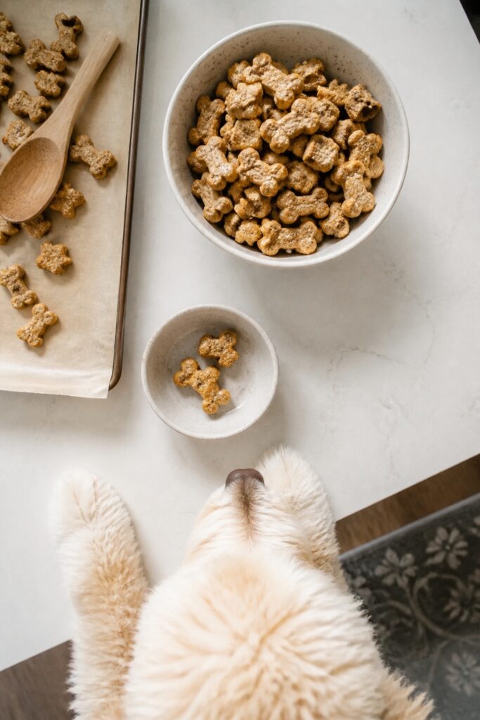 Same pet recipe photoshoot, same home kitchen, same natural window light, same smartphone camera sty
