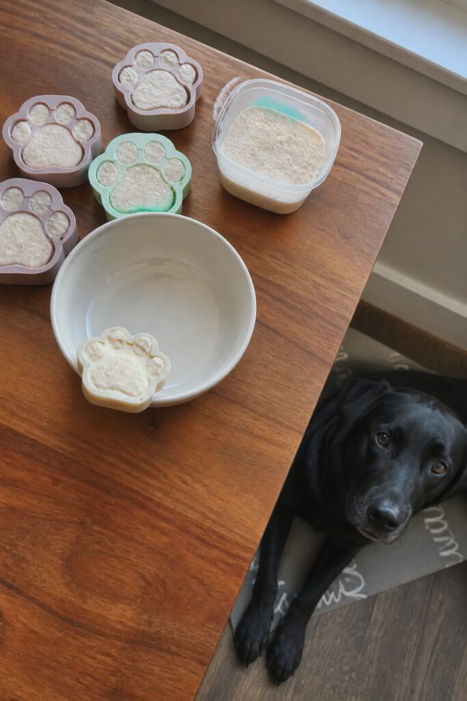 Same pet recipe photoshoot, same home kitchen, same natural window light, same smartphone camera sty