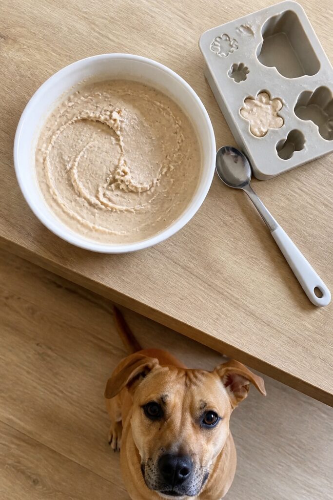 Same pet recipe photoshoot, same home kitchen, same natural window light, same smartphone camera sty