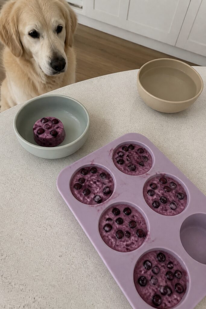 Same pet recipe photoshoot, same home kitchen, same natural window light, same smartphone camera sty