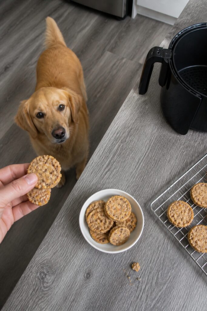Same pet recipe photoshoot, same home kitchen, same natural window light, same smartphone camera sty